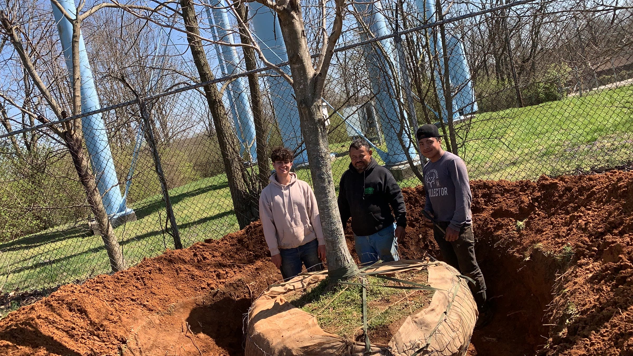 Tree stump and root-area excavation before final cleanup