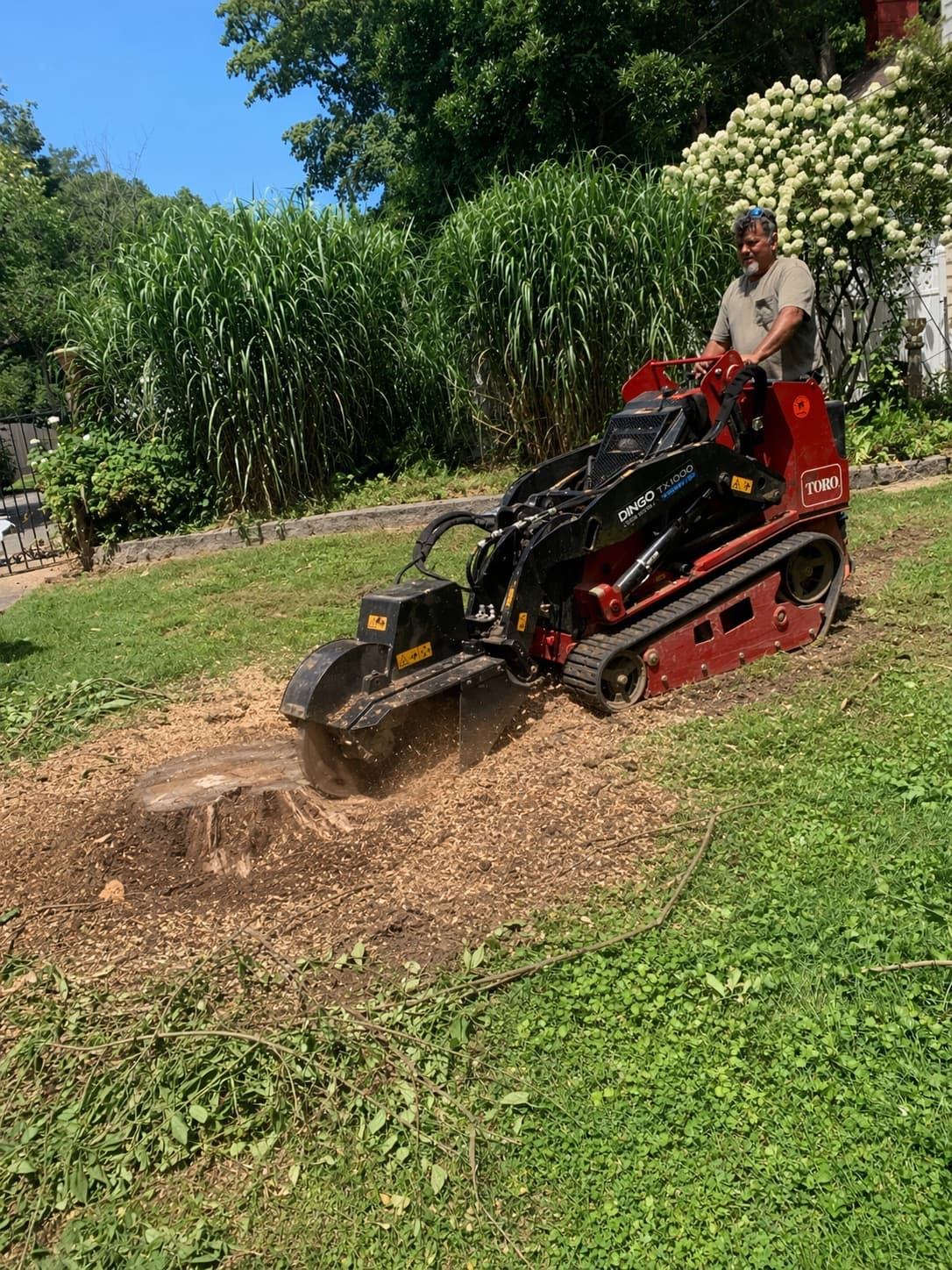 Crew operating a stump grinder on a residential property in Lexington, KY