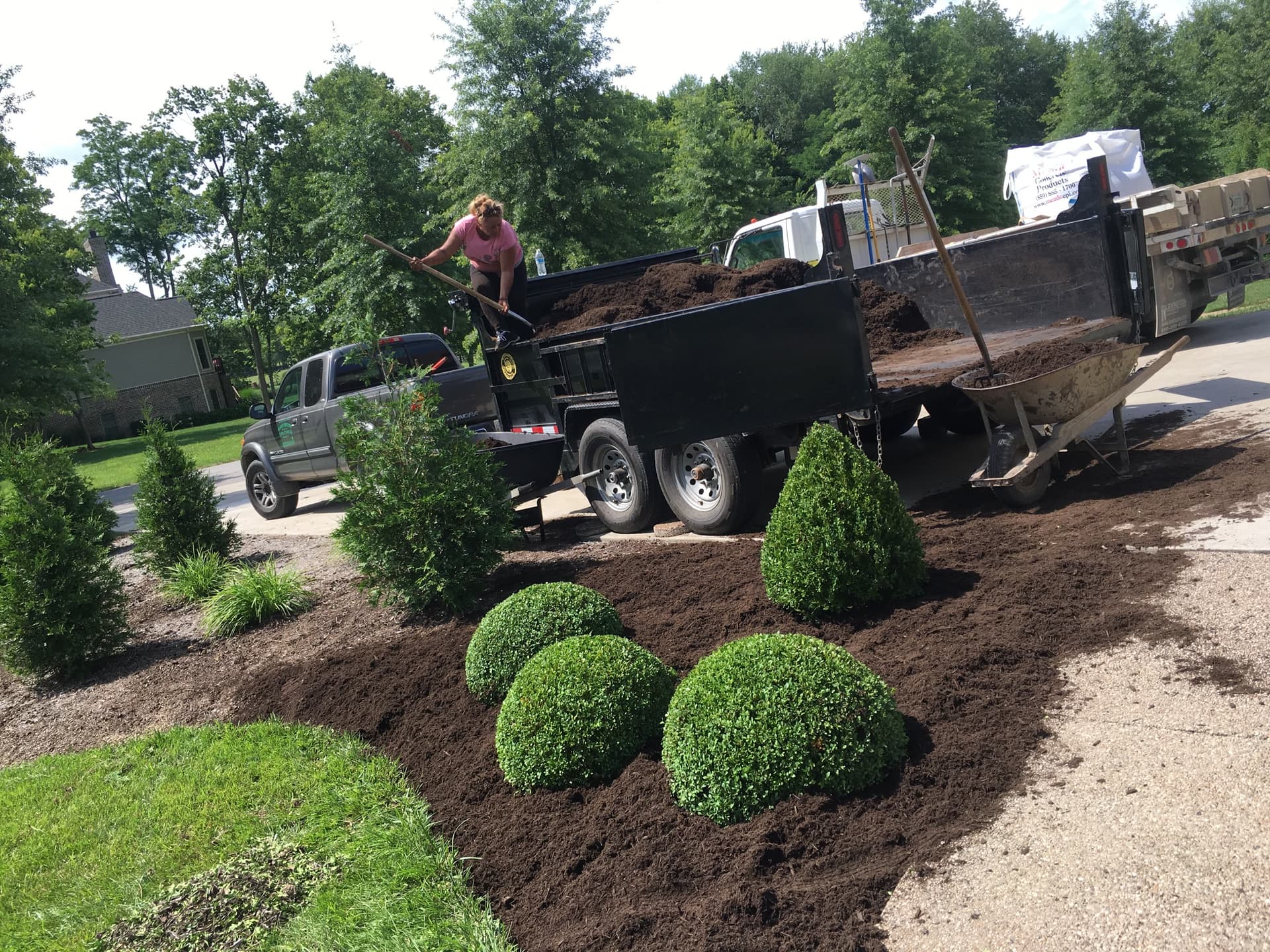 Completed front-yard installation with shaped shrubs and defined beds