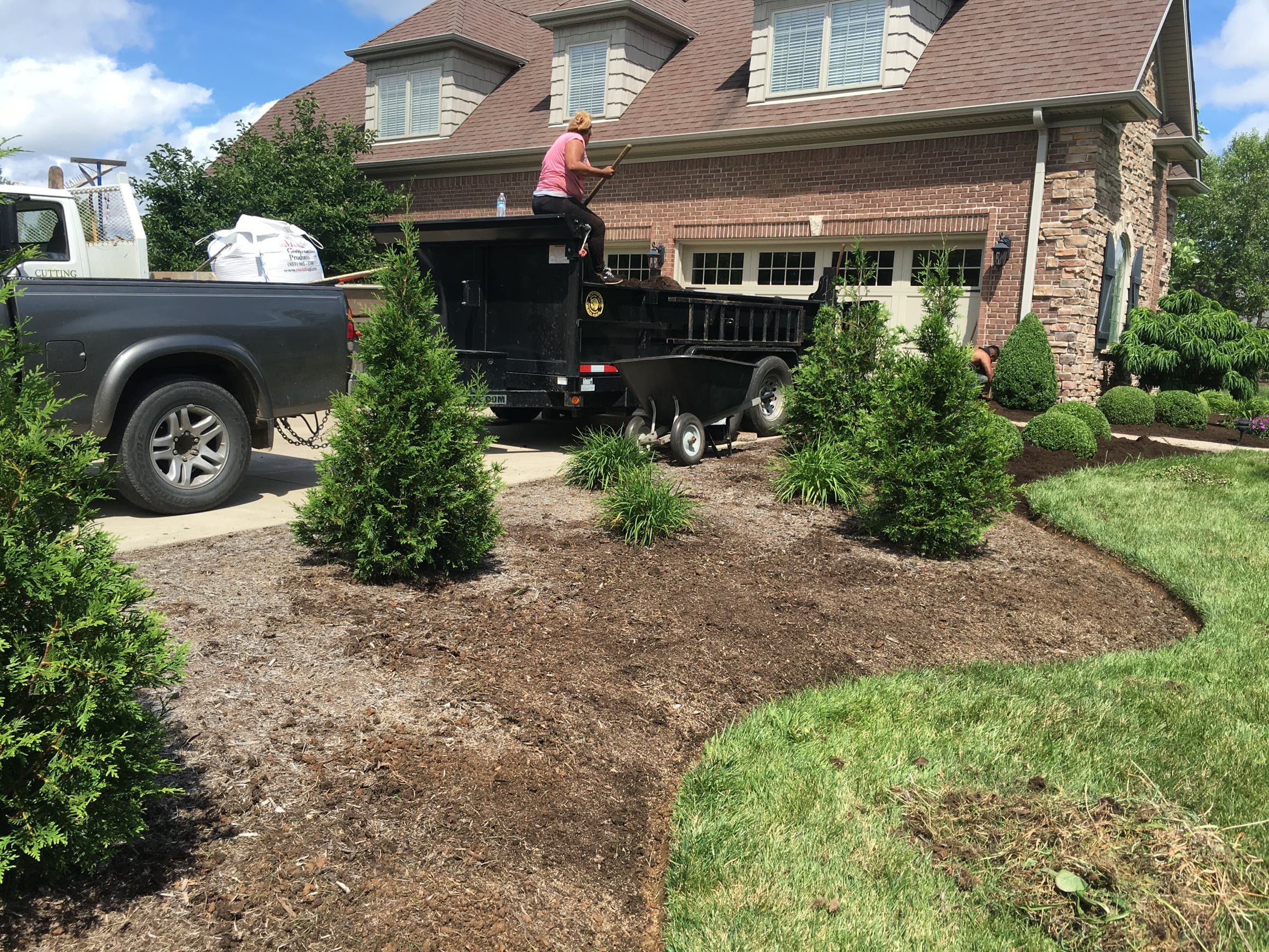 Foundation bed with healthy hostas and clean mulch detail