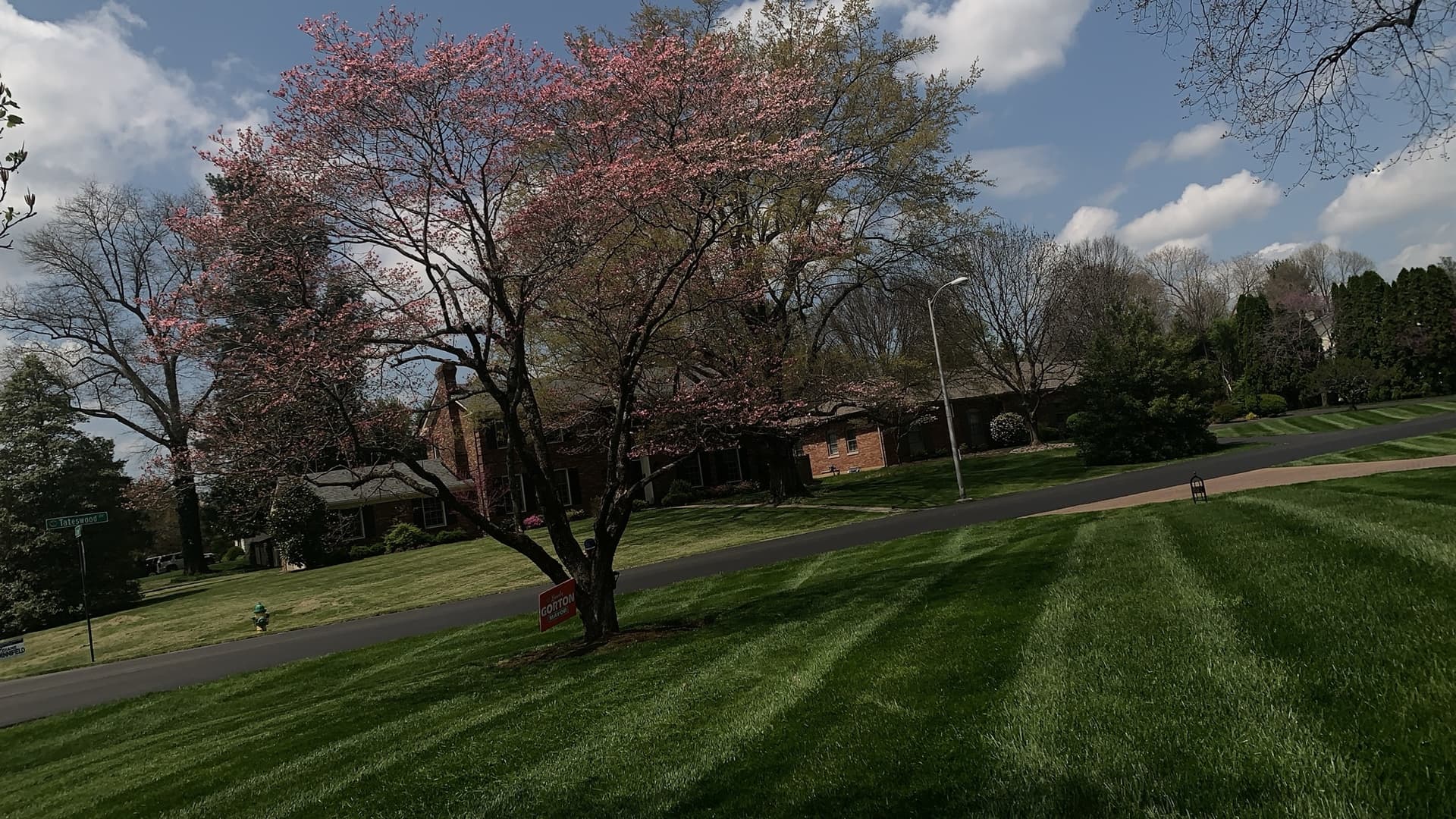 Residential lawn with visible mowing stripes in Lexington, Kentucky
