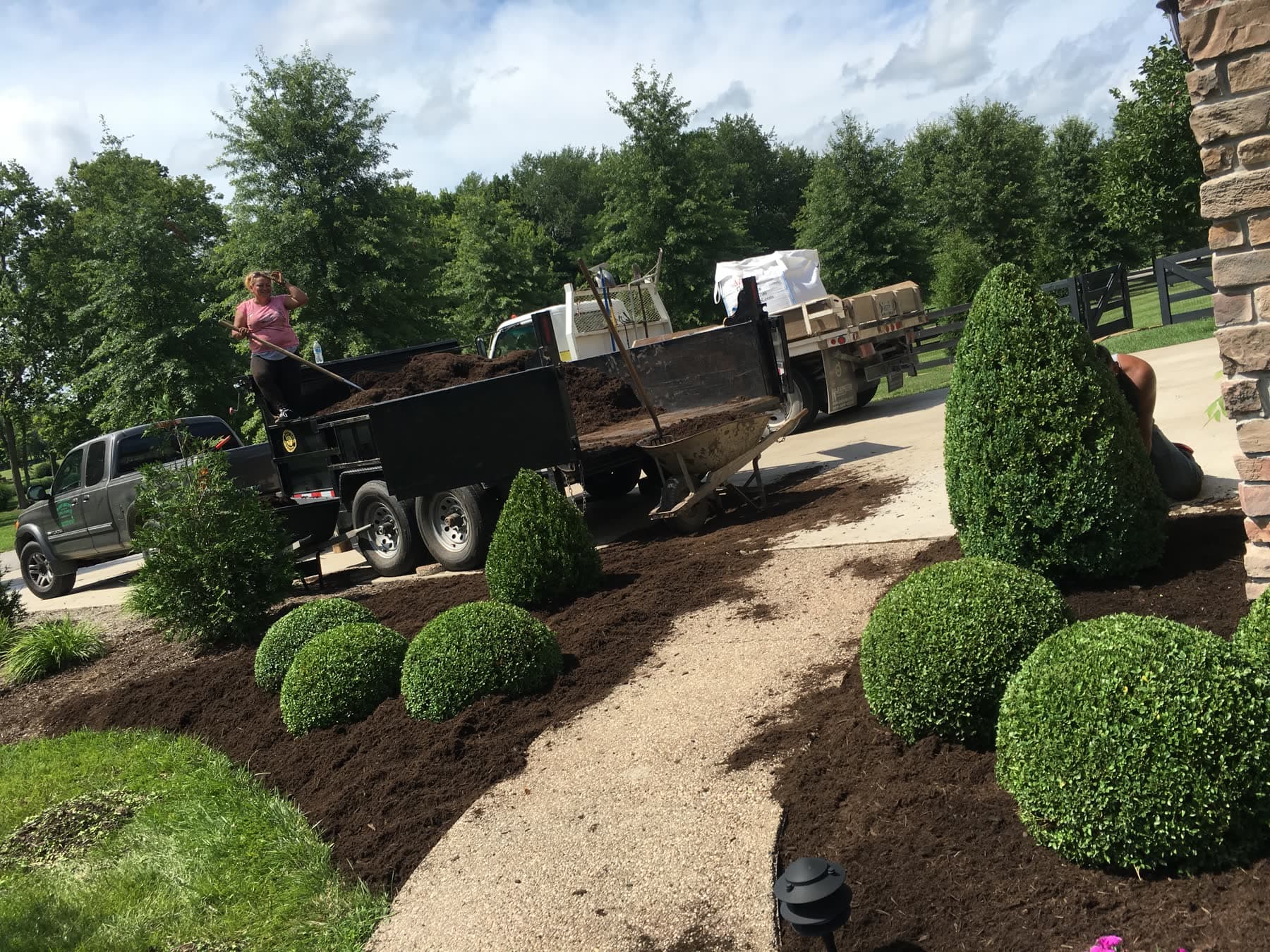 Fresh dark mulch installed around foundation shrubs and a front walkway