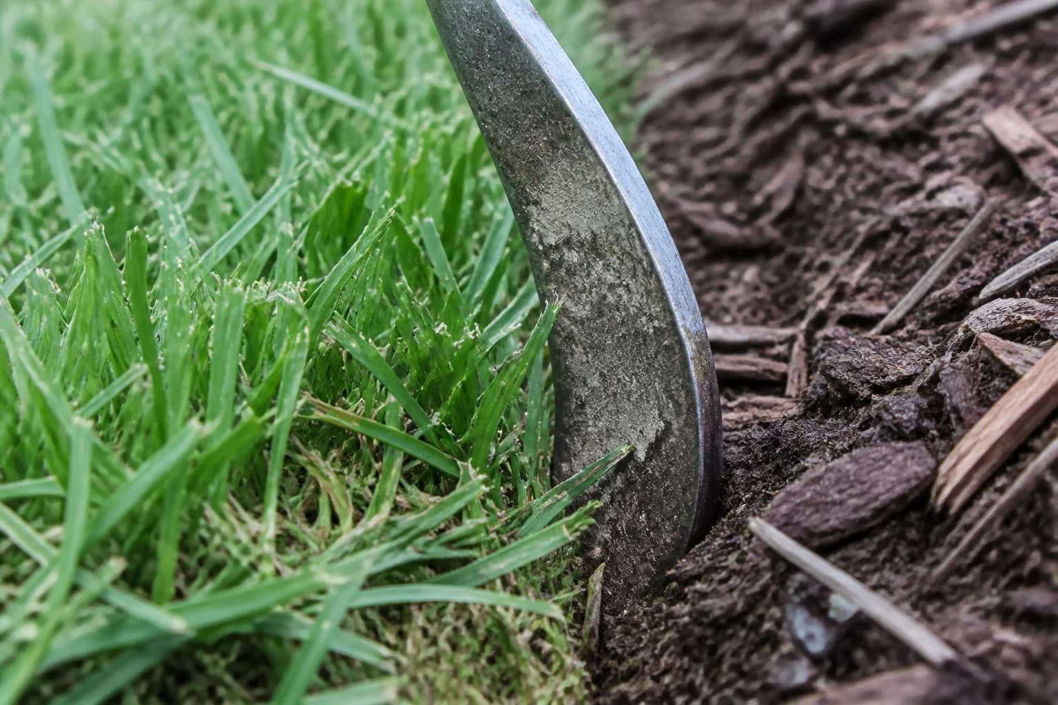 Concept close-up of a clean landscape bed edge separating mulch from lawn