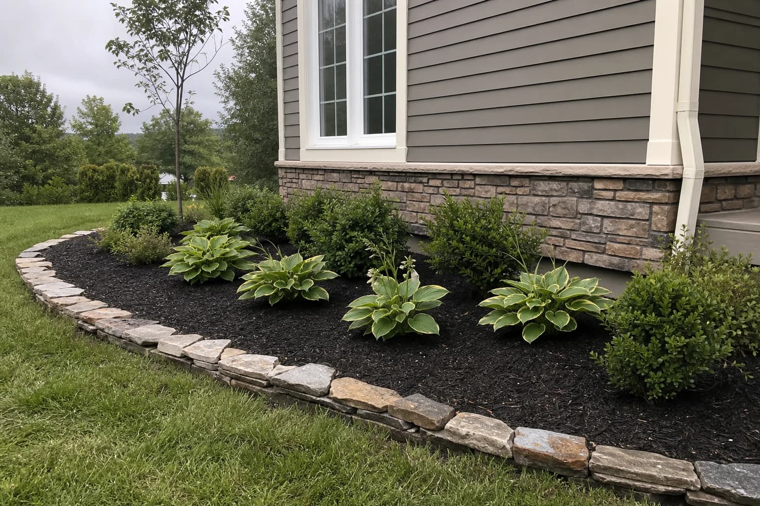 Concept image of a front foundation bed with dark mulch, hostas, shrubs, and a defined curved edge