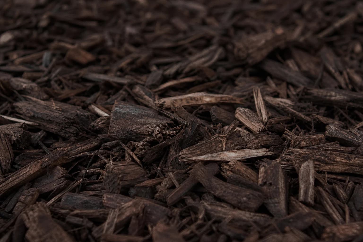 High-detail close-up of fresh dark hardwood mulch texture